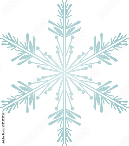 Snowflake Crystal in Winter