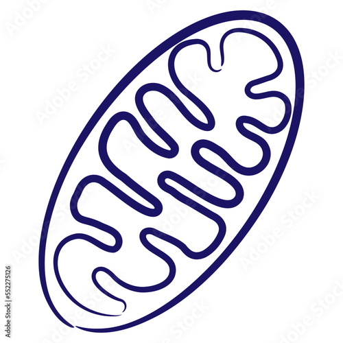 Konstfotografi Mitochondria minimal vector icon drawn with brush line