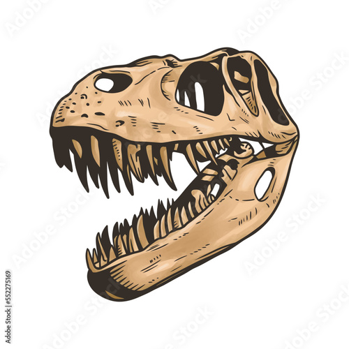 Dinosaur head skeleton vector clip art on white background