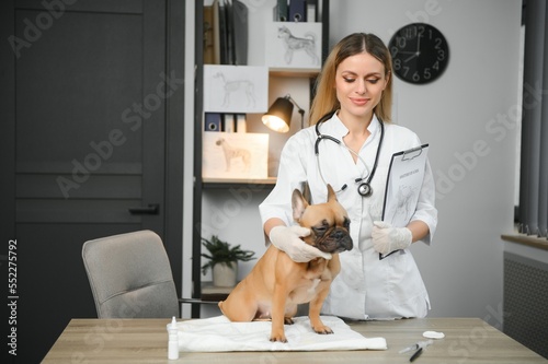 Fototapeta Naklejka Na Ścianę i Meble -  Happy veterinarian doctor with a dog at vet clinic.