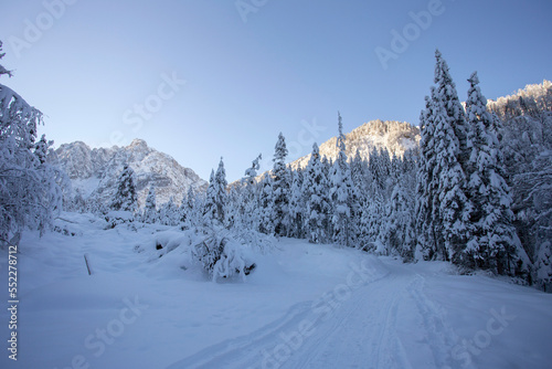 Kranjska Gora in Slovenia, winter landscape