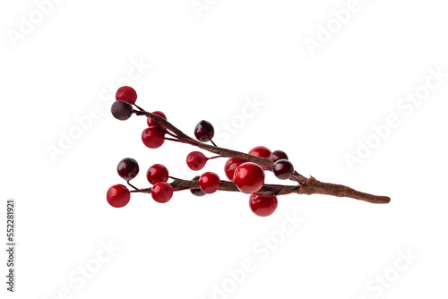 branches of red berries. christmas tree branch, isolated on transparent background png. Christmas decoration red berries holly