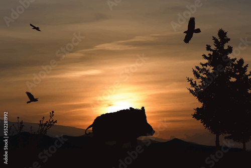 Vector silhouette of forest with wild boar on sunset background.