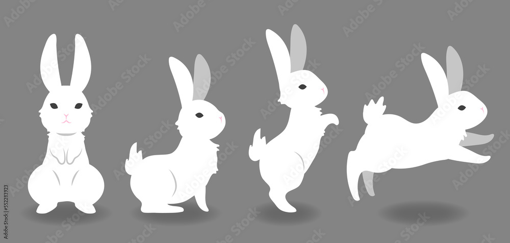 Obraz premium 白いうさぎ