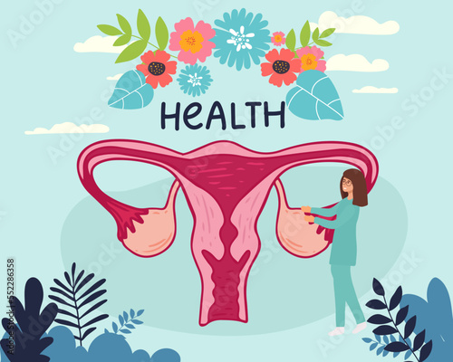 Female menstrual cycle. Female doctor tracking menstrual cycle. Vector illustration of female reproductive system.