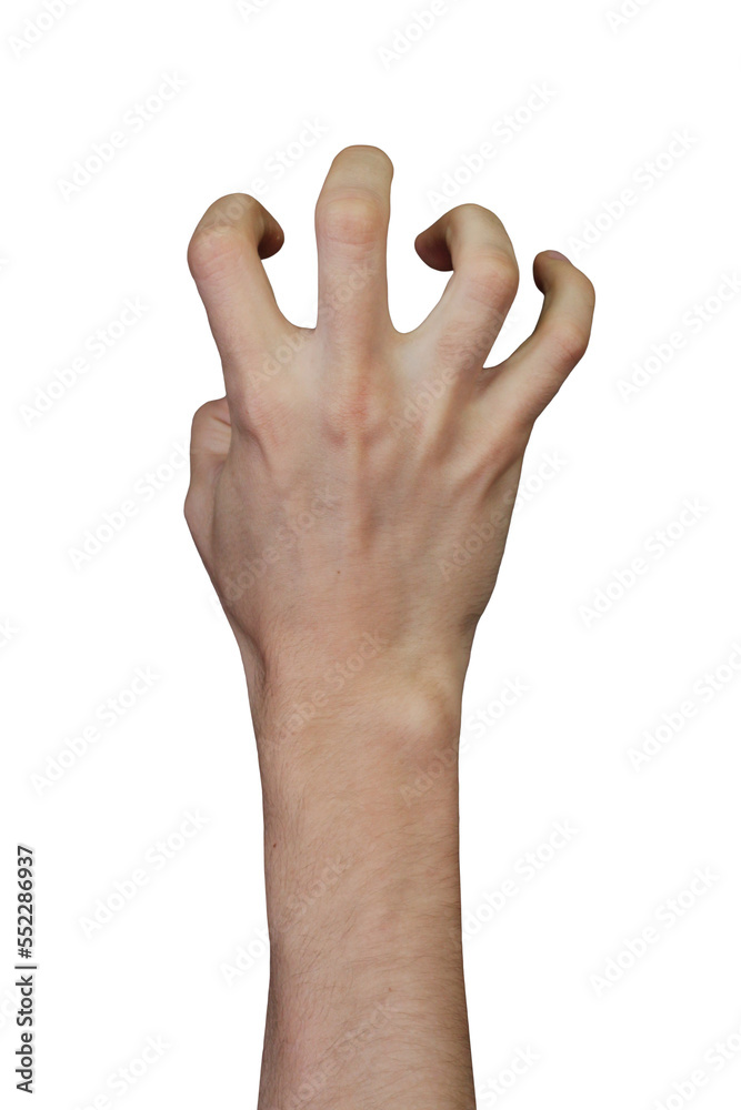 Obraz premium Male hand gestures isolated