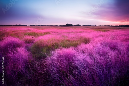 Tranquil sunset over a pink and purple field. 