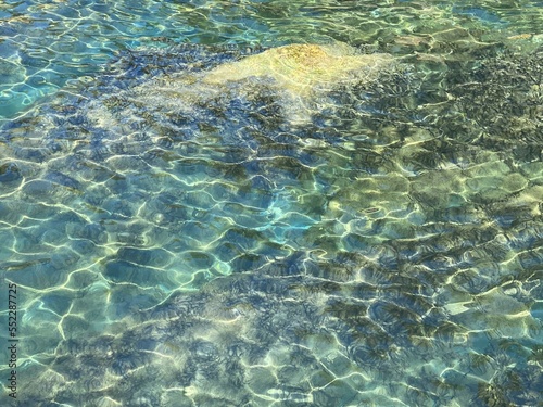 Fototapeta Naklejka Na Ścianę i Meble -  Clear water in the sea.