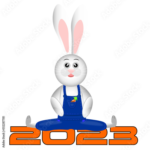 Rabbit on the inscription 2023