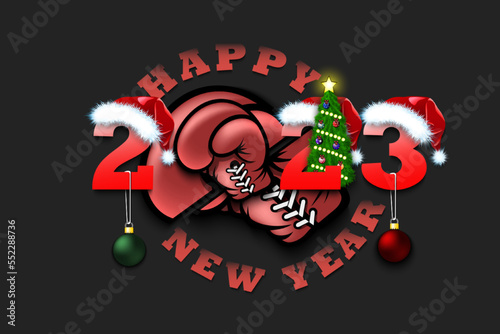 Happy New Year 2023 and boxing glove