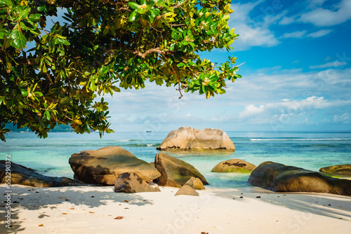 Fototapeta Naklejka Na Ścianę i Meble -  Tropical paradise beach with palm trees, white sand and beautiful rocks at Mahe Seychelles. Beau Vallon Beach.