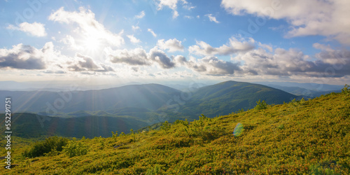 sunset scenery in carpathian mountains. grassy hill in evening light. view in to the distant valley beneath a gorgeous sky with fluffy clouds © Pellinni