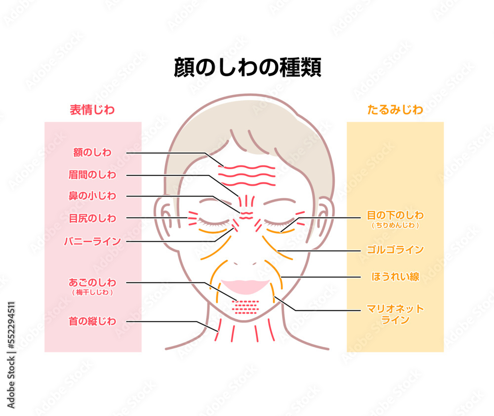 Fototapeta premium 女性の顔のしわ (表情じわとたるみじわ）ベクターイラスト
