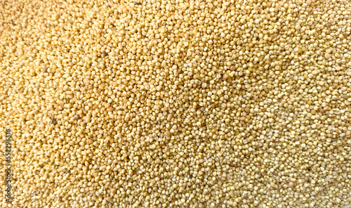 millet seeds background.