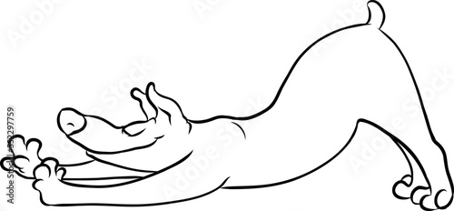 Hund in Yogapose streckt und räkelt sich genüsslich