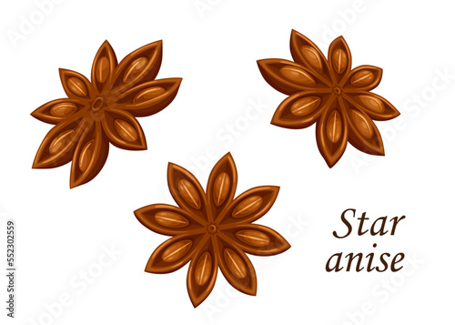 Star anise vector food spice, seasoning or condiment. Brown seeds and star shaped fruits of anise or badian spicy plant. Aromatic ingredients or natural flavor of indian and chinese cuisine
