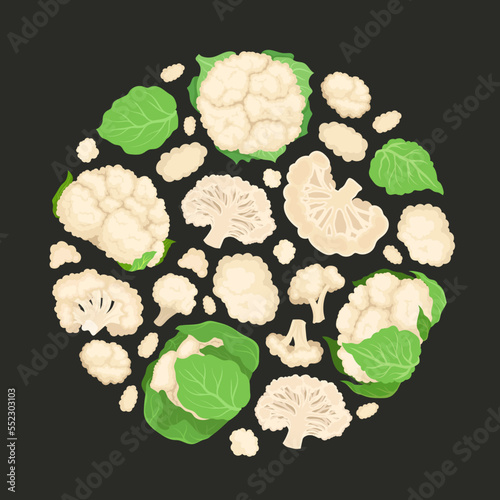 Fresh Cauliflower Round Composition with Brassica Vegetable Head on Black Background Vector Template