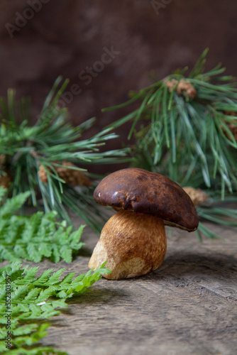 Single Imleria Badia or Boletus badius mushroom commonly known as the bay bolete on vintage wooden background..