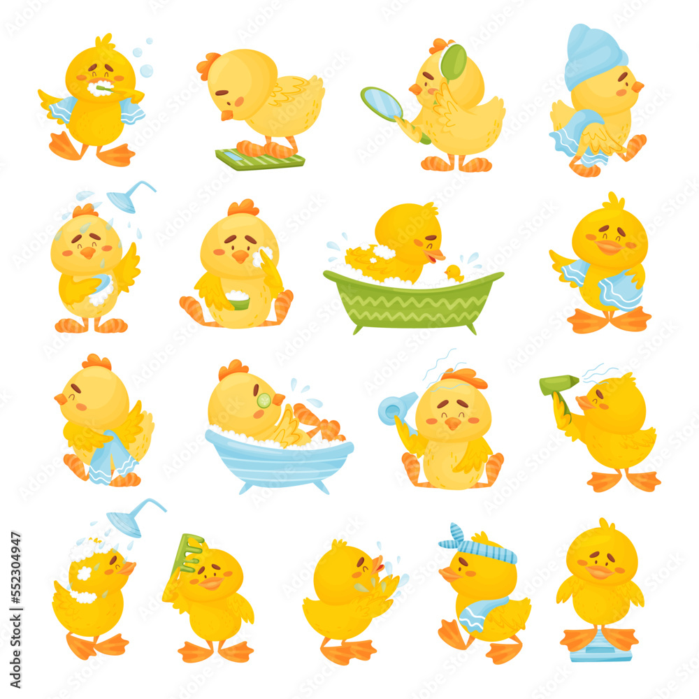 Obraz premium Cute Yellow Chicken Character Grooming and Bathing Big Vector Set