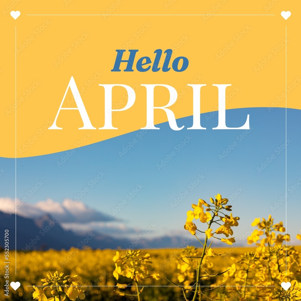 Obraz premium Composition of hello april text over flowers on yellow and blue background