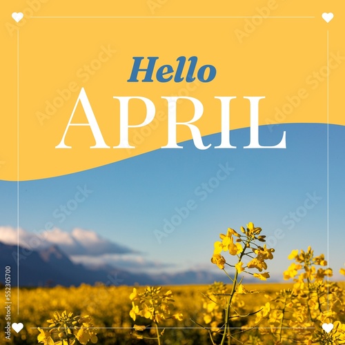 Composition of hello april text over flowers on yellow and blue background