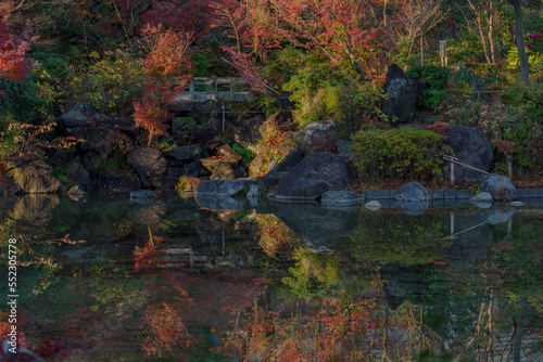 Fototapeta Naklejka Na Ścianę i Meble -  池の水面に紅葉のカラフルな色が落ちる