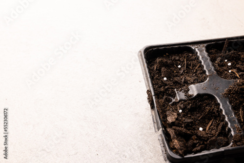 Seedling tray filled with dark soil and fertiliser, with copy space