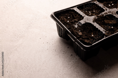 Seedling tray filled with dark soil and fertiliser, with copy space