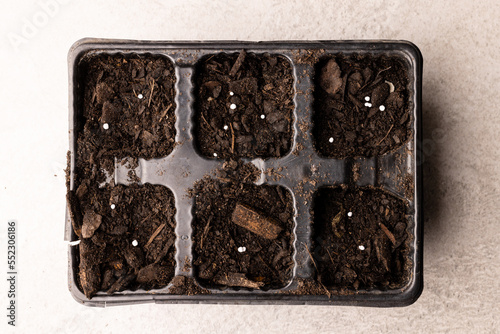 Overhead of seedling tray filled with dark soil with bark pieces and fertiliser