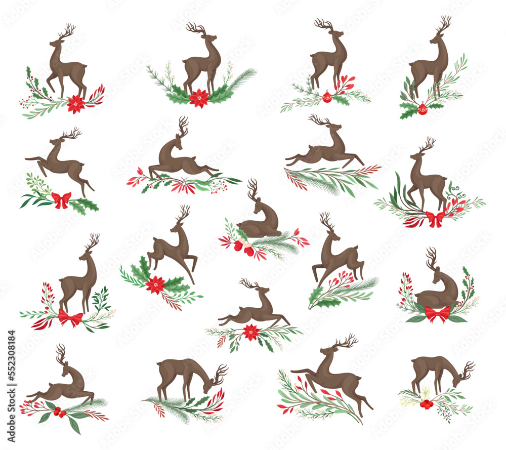Brown Deer with Antlers and Winter Twigs and Flower Composition Big Vector Set