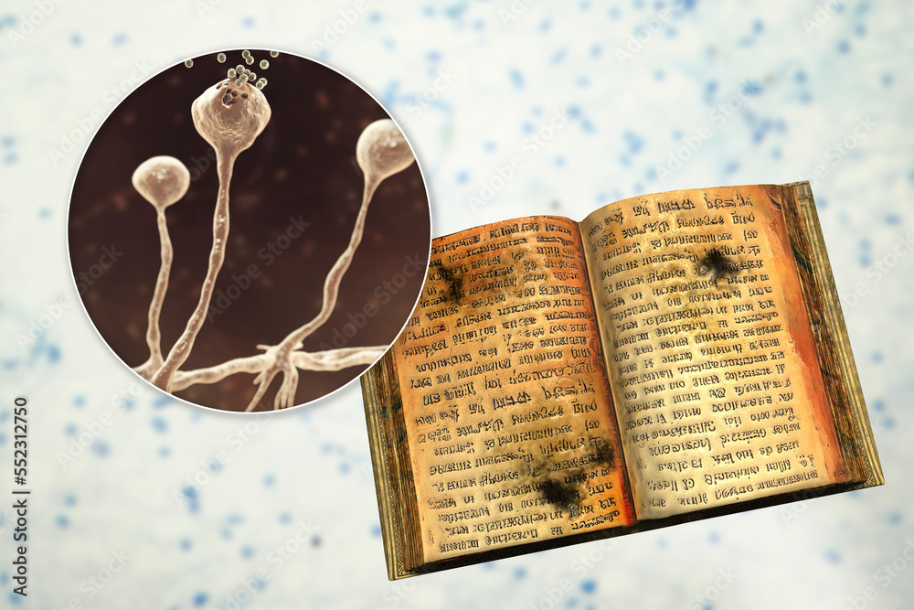 Mold in old books, generative ai and 3D illustration. Open antique book