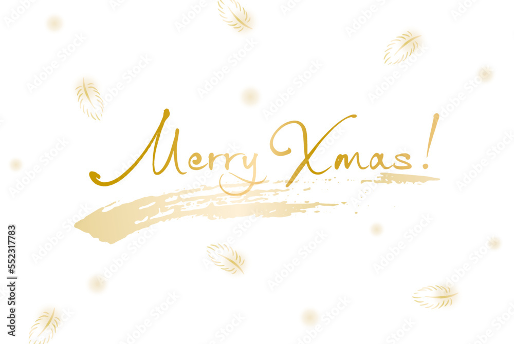 Obraz premium クリスマスカード 『Merry Xmas!』 羽根 雪 イメージ フレーム