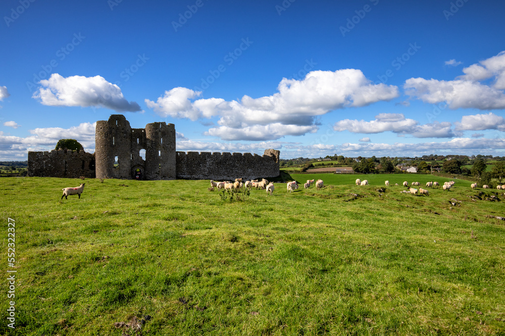 Schafherde vor dem Castle Roche in Irland Schafherde vor dem Castle Roche in Irland