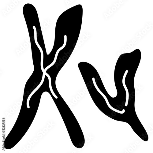 chromosome icon