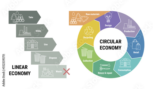 Comparison of linear and circular economy infographic. Scheme of product life cycle from raw material to production, consumption and recycling instead of waste. Flat line vector illustration