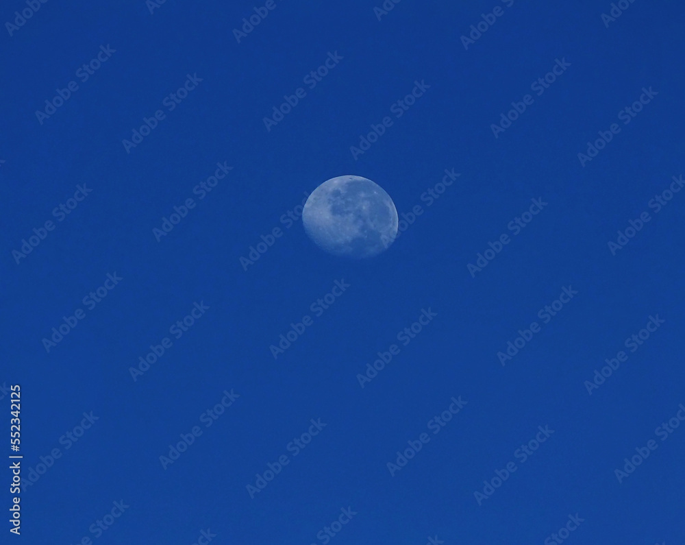 moon moon