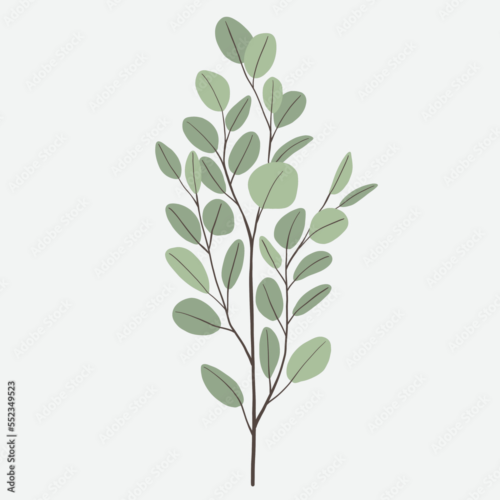 Obraz premium Freehand drawing of Eucalyptus branch.
