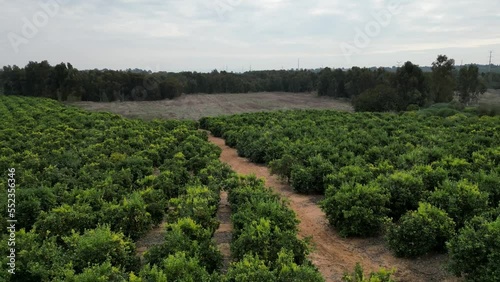 4K drone videos of Rehovot Winter Pond- The Secluded Life of the Rainy Season- before the flood- Rehovot Israel