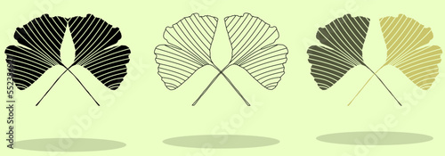 Ginkgo flat line icon. Chinese medicinal plant vector illustration. Ginkgo biloba leaves .