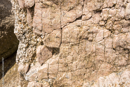 Rock texture for background