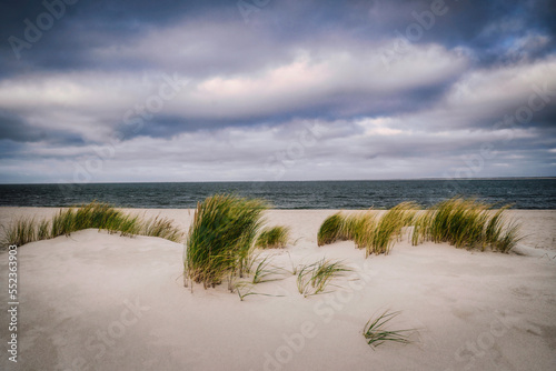 Sylt - Strand mit Weidegras bei List