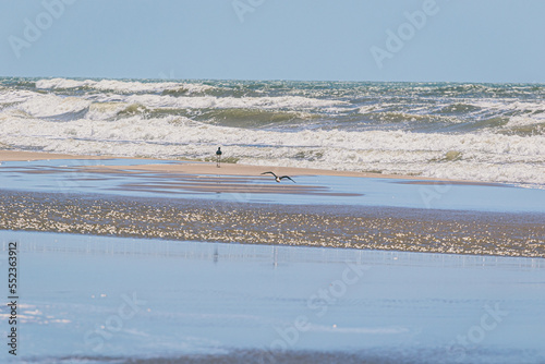 Ultramarathon Feelings