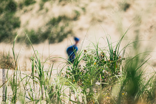 Ultramarathon Feelings