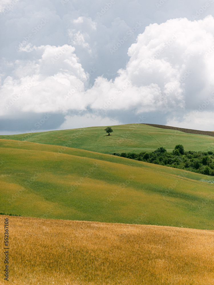 Summer in the Val d'Orcia countryside in Tuscany Italy