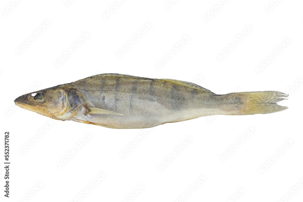 dried fish, dried pike perch, food, beer snack dried fish, dried pike perch, food, beer snack