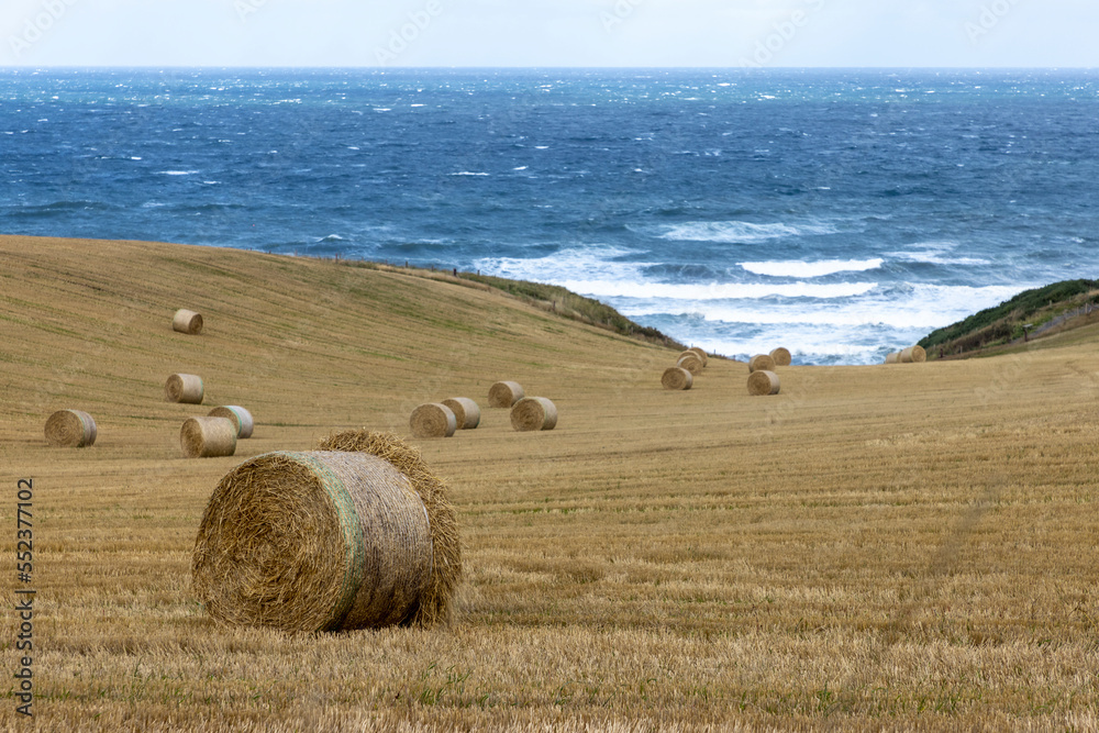 silo bales on the north coast of Scotland, Fraserburgh