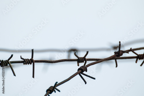 Barbed sharp wire close-up on a gray background