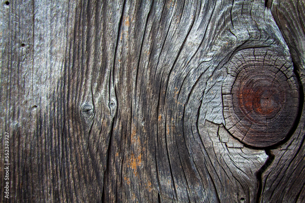 Herbeys, Isère, Rhône-Alpes, France, 20 11 2022 macro pictures, close up, of natural textures for graphic designers, wood, metal, stones Herbeys, Isère, Rhône-Alpes, France, 20 11 2022 macro pictures, close up, of natural textures for graphic designers, wood, metal, stones