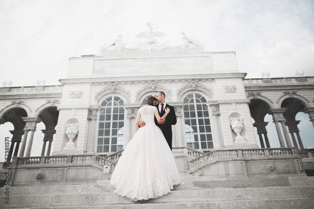 Obraz premium Luxury married wedding couple, bride and groom posing in luxury city
