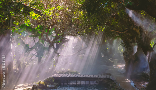 Softly focus image of Mist and morning sunlight shine through the branches into small wooden bridge and streamlet in gardening area at public park  Nature concept for design